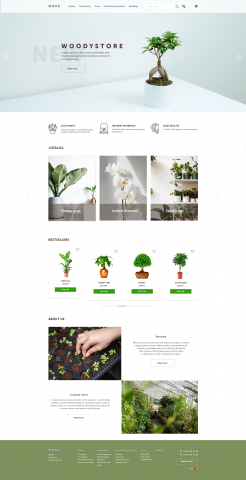 Landing Page - Plants Shop