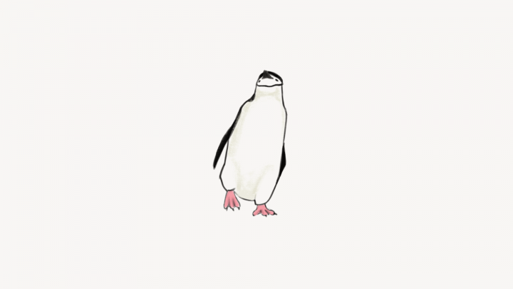 Анимация движения пингвина на зрителя