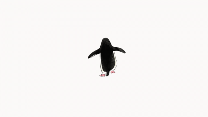 Анимация движения пингвина от зрителя