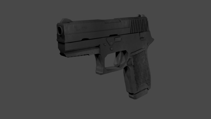 SigSauer P250