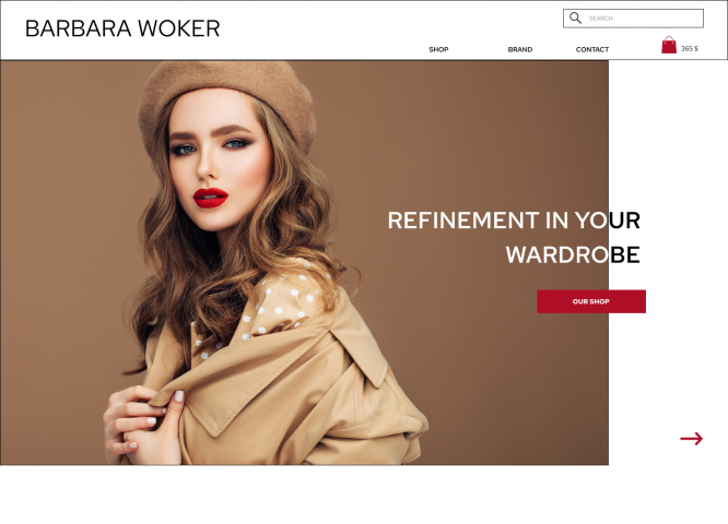 Redesign e-commerce shop Barbara Woker