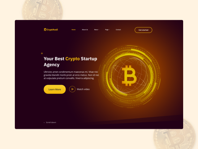Crypto Startup Agency