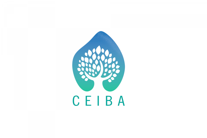 Logotype Ceiba