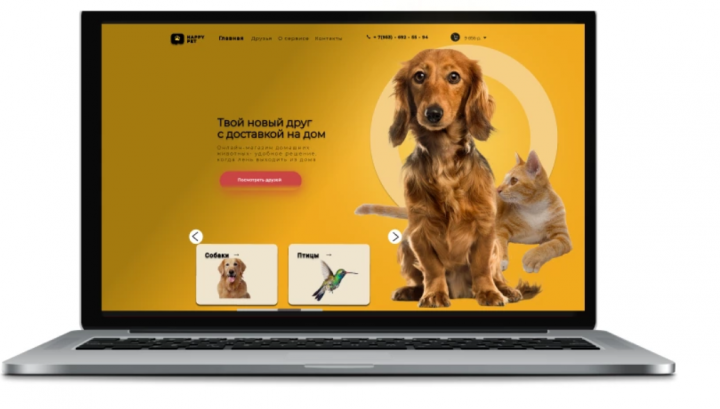 Веб дизайн для магазина животных