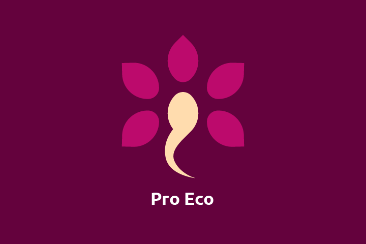  Pro Eco