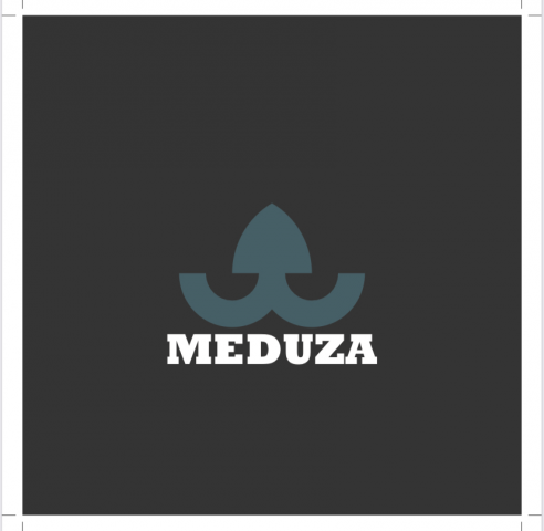 Logo MEDUZA