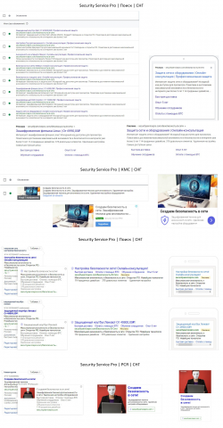 securityservicepro.com // Yandex Direct+Google Adwords