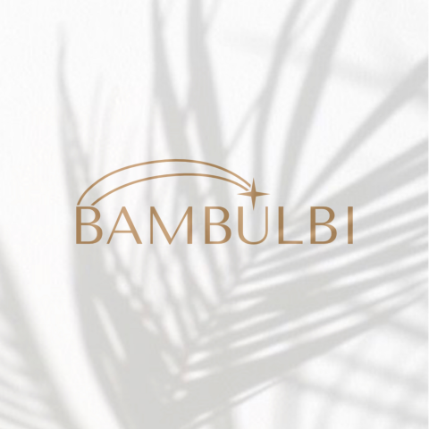  BAMBULBI