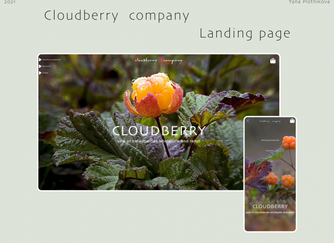 Landing page for cloudberry company