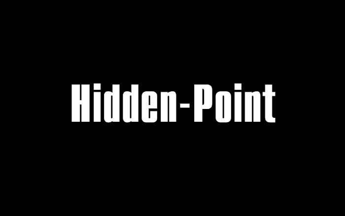 Hidden-Point -      .