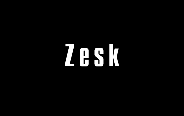 Zesk - Нейминг для строительно-отделочной компании.