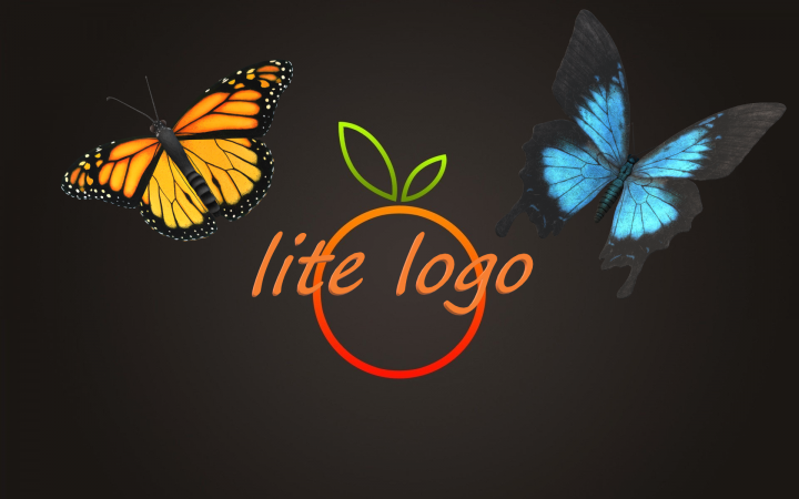 lite logo