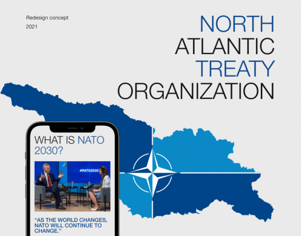  NATO  Website Redesign Concept