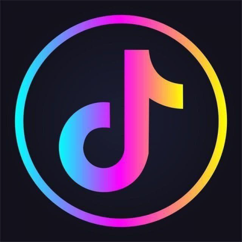 TikTok Downloader