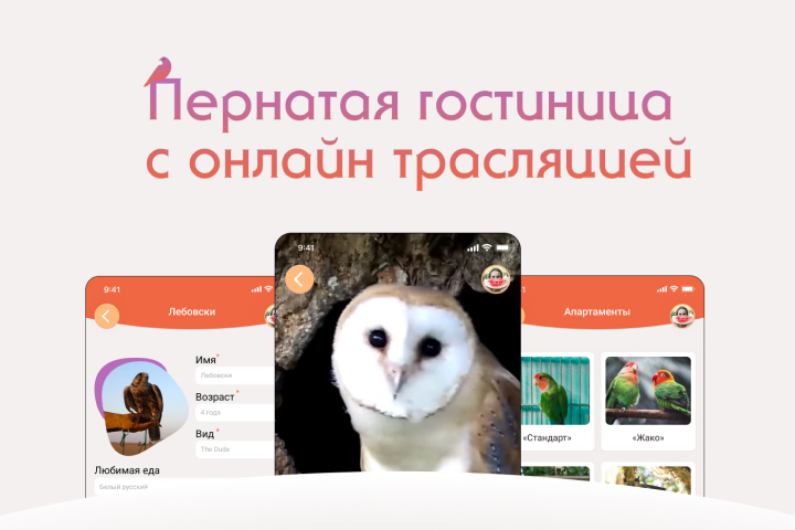 Сайт и мобильное приложение для  гостиницы хищных птиц
