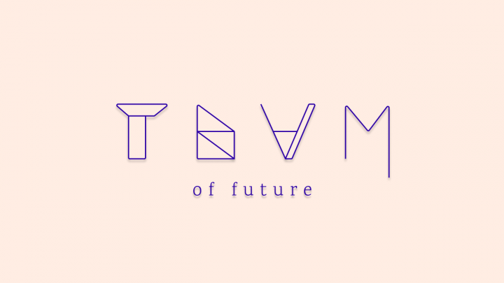 Team of future - IT company