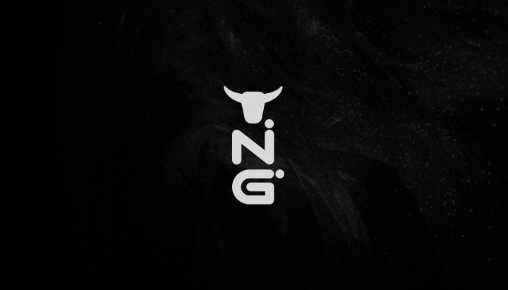  NG