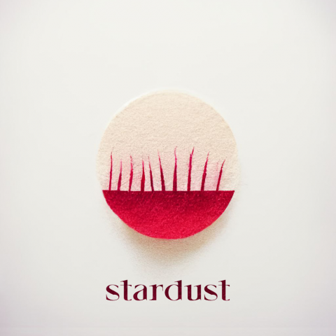 Логотип косметической фирмы "stardust"
