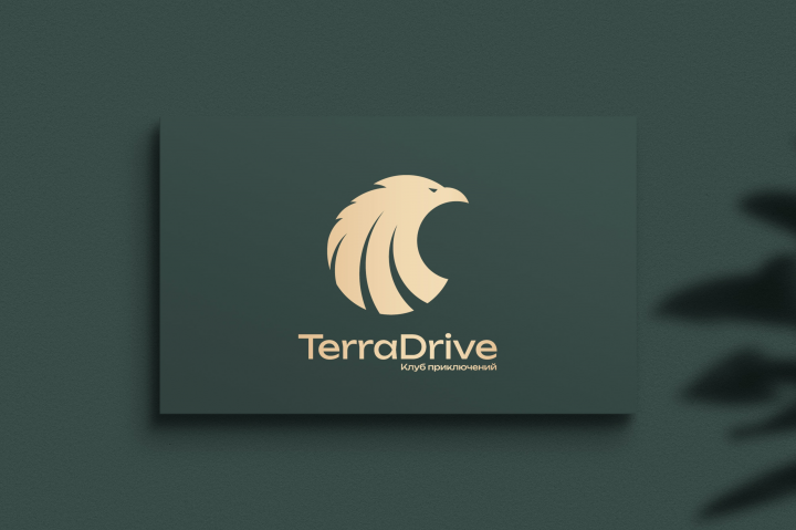   TerraDrive