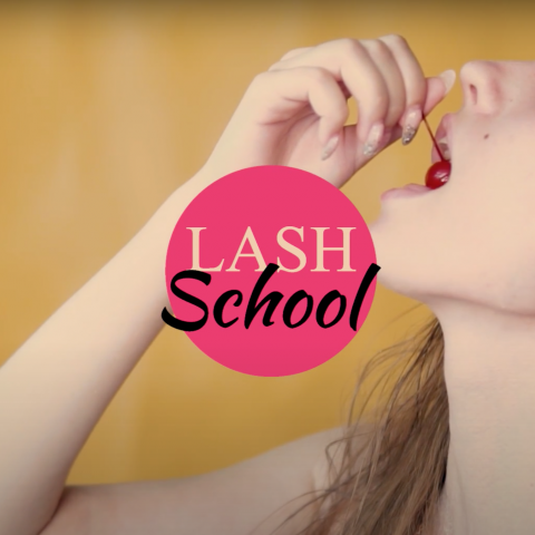   Lash School