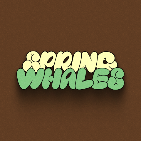 Spring Whales LOGO