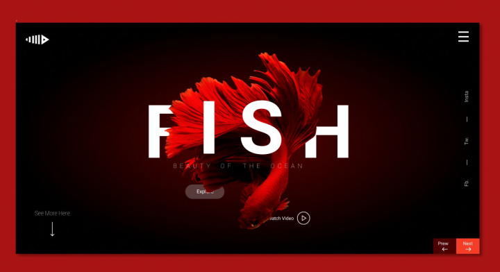 Design Website Fish