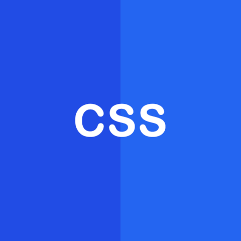 CSS