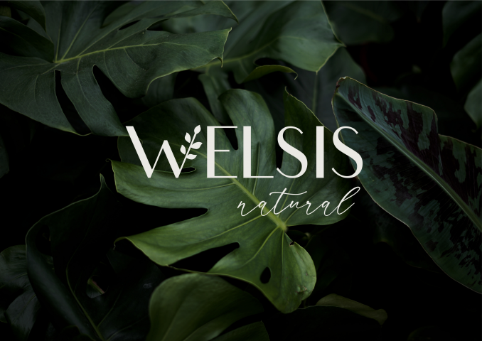 Welsis