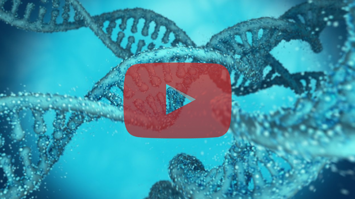 Looped Deoxyribonucleic Acid (DNA) Chains