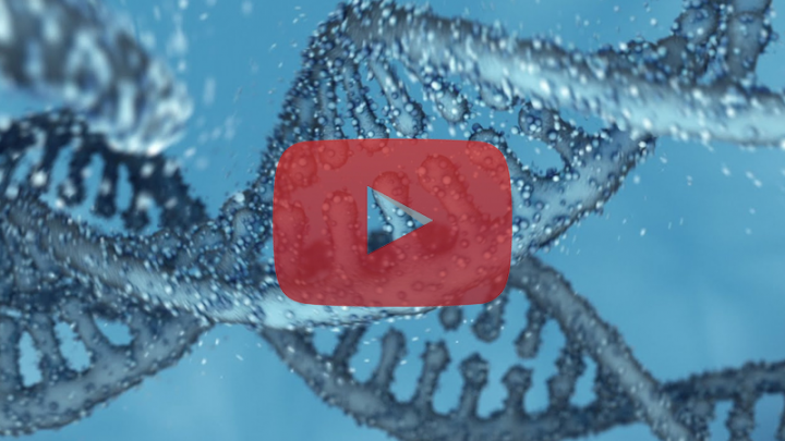 Looped Deoxyribonucleic Acid (DNA) Chains