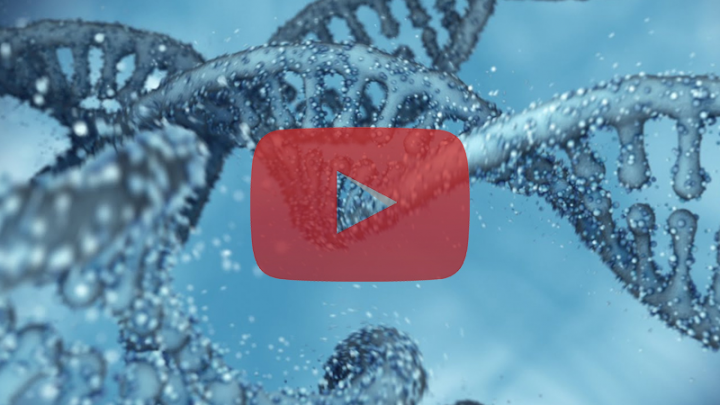 Looped Deoxyribonucleic Acid (DNA) Chains