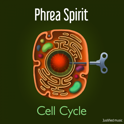   Phrea Spirit "Cell Cycle"