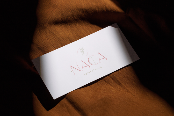  NACA