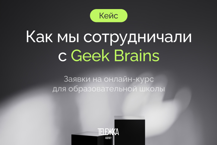     Geek Brains