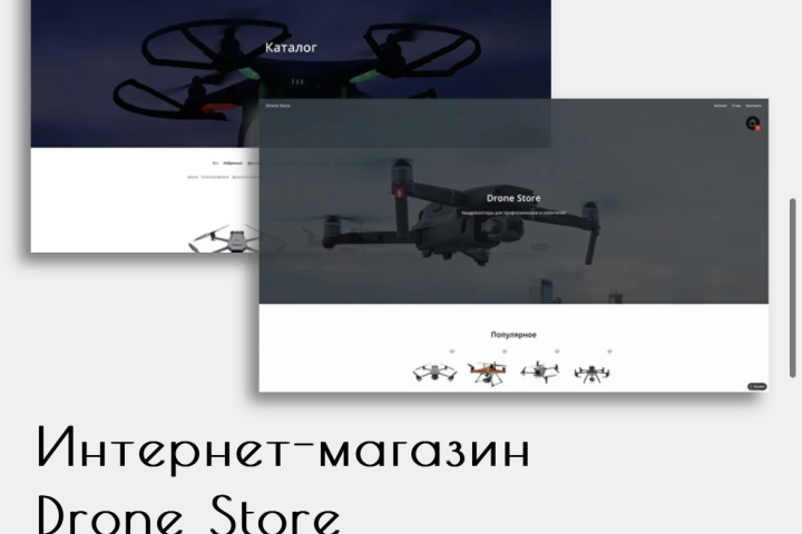Drone Store