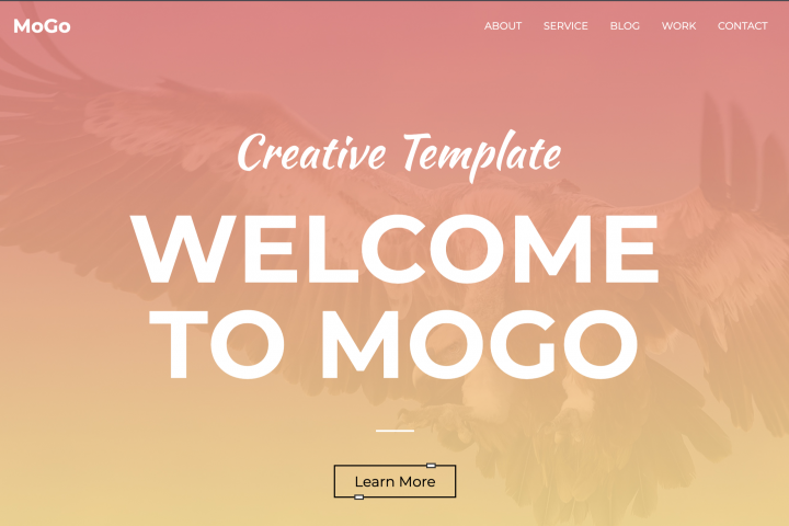 landingPage - MoGo