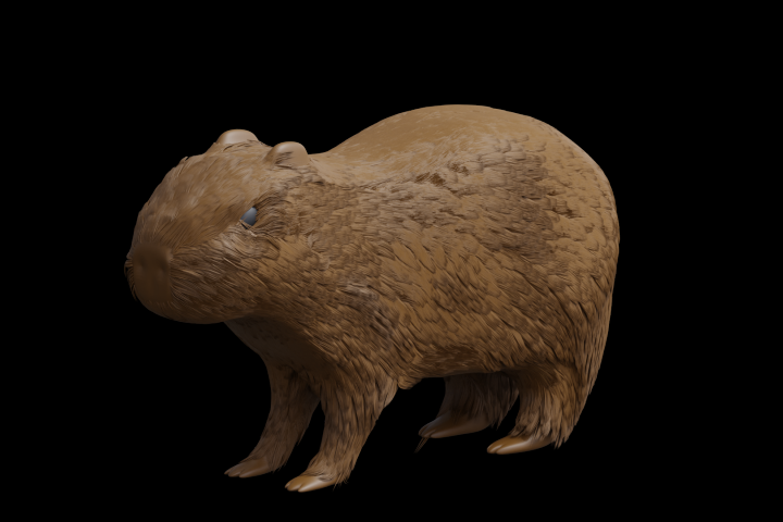 Capybara 3d model in Blender -  3  Blender
