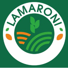 LAMARONI.  