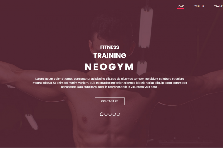 FITNESS TRAINING NEOGYM