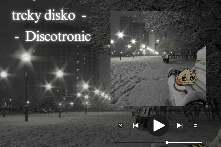 Discotronic -Tricky Disco