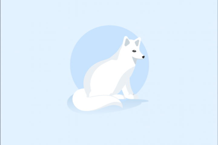 White Fox