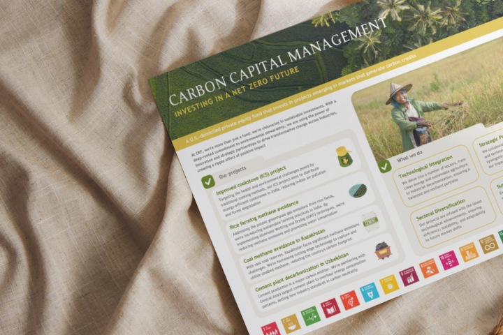 Carbon Capital Management (summary)