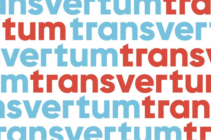 Transvertum -  