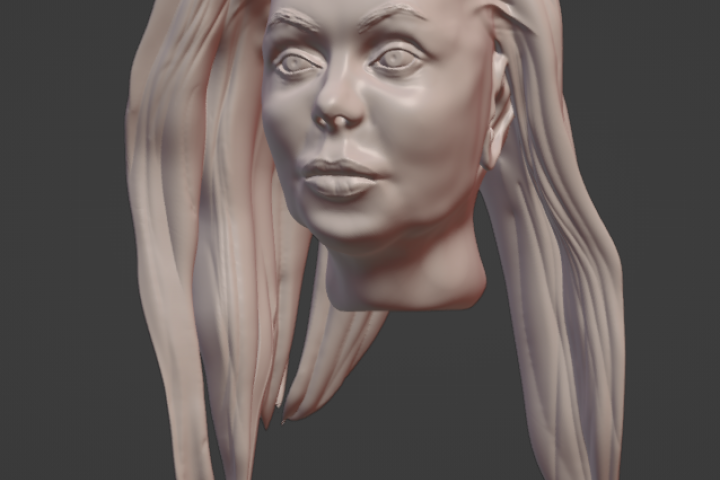 Sculpt of Woman's Head