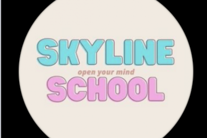 :     Skylin School