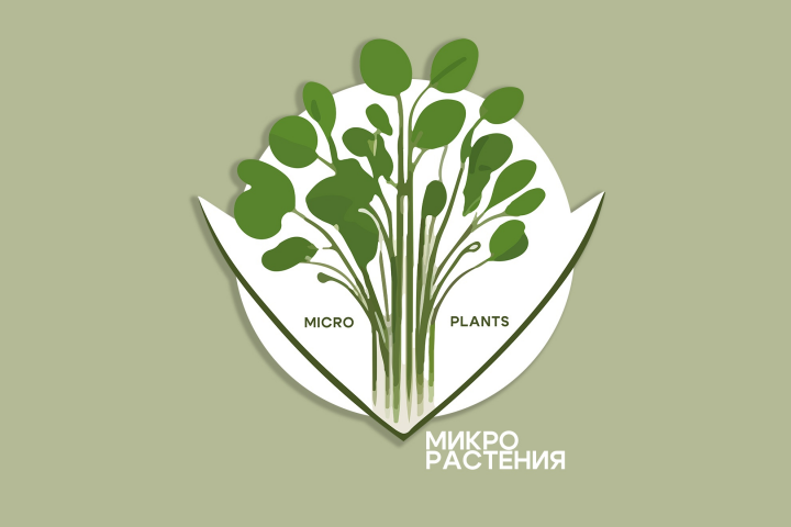 Micro plants