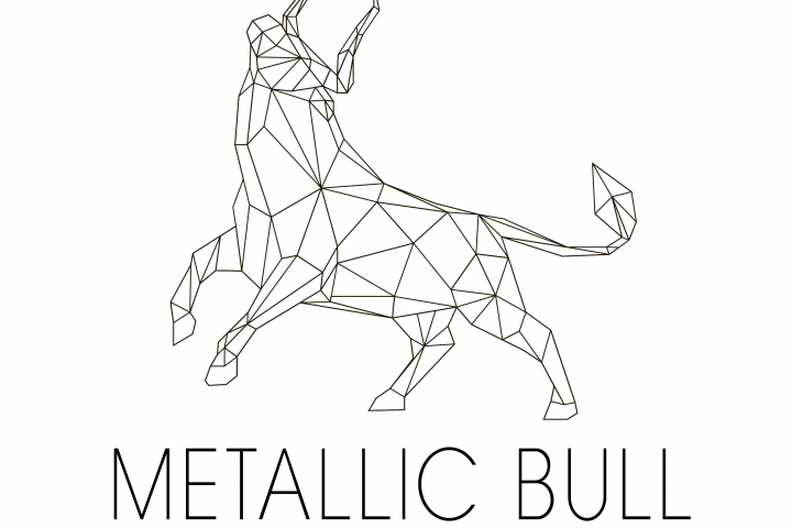 Metallic Bull